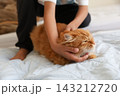 小学生の子供の手元と茶トラ猫 143212720