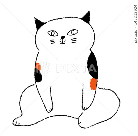 座っている三毛猫 143212924