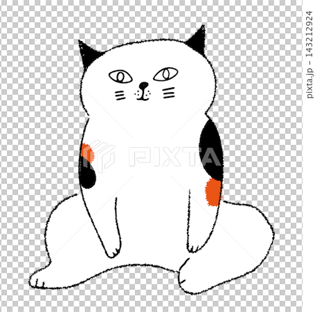 座っている三毛猫 143212924