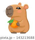 Cute cartoon capybara holding a tangerine with a green leaf in its paws 143213688