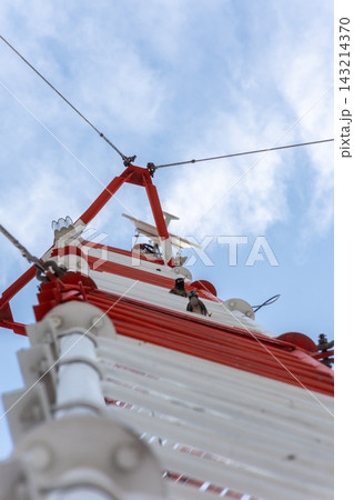 Two birds perch red white steel structure beneath overhead cables blue cloudy sky behind them Two birds perch red white steel structure beneath overhead cables blue cloudy sky behind them 143214370