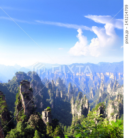 Majestic quartz sandstone pillars, Zhangjiajie National Park, China. Avatar Mountains, Wulingyuan scenic area, tourist attraction, Hunan. Towering peaks, tree, stunning karst landscape scenery view Majestic quartz sandstone pillars, Zhangjiajie National Park, China. Avatar Mountains, Wulingyuan scenic area, tourist attraction, Hunan. Towering peaks, tree, stunning karst landscape scenery view 143214709