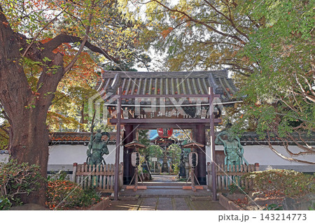 井口院(三鷹) 井口院(三鷹) 143214773