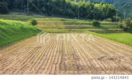 大津市伊香立の棚田 収穫を終えた田んぼ 滋賀県 大津市伊香立の棚田 収穫を終えた田んぼ 滋賀県 143214843