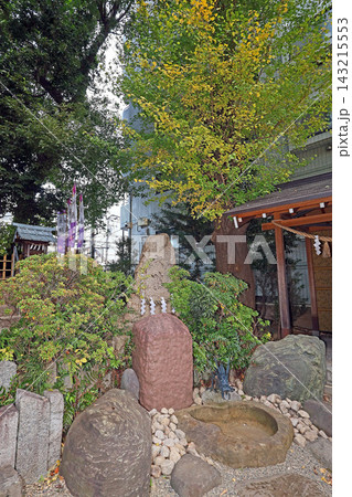 田無神社(西東京) 田無神社(西東京) 143215553