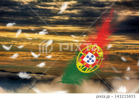 3D Flag on feathers 143215655