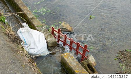 用水路から水田(田んぼ)へ水が流れ込む取水口と農村の風景(愛媛県) 用水路から水田(田んぼ)へ水が流れ込む取水口と農村の風景(愛媛県) 143215857