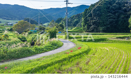 堅田の田園風景 滋賀県大津市 堅田の田園風景 滋賀県大津市 143216444