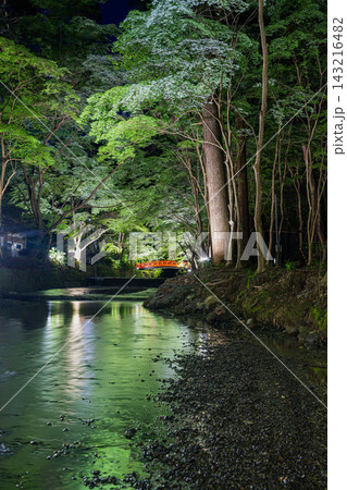 森町の遠江国一宮小國神社の新緑に包まれた一宮川と赤い橋(静岡県) 森町の遠江国一宮小國神社の新緑に包まれた一宮川と赤い橋(静岡県) 143216482