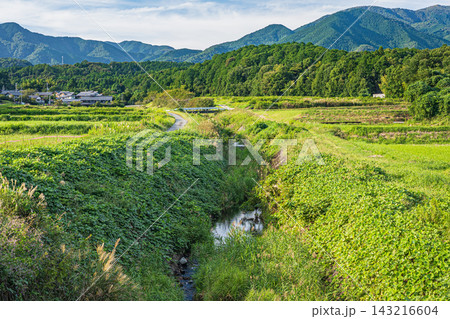 真野川　滋賀県大津市堅田 143216604