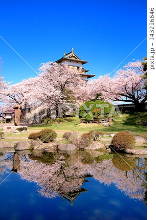 高島城の桜 高島城の桜 143216646