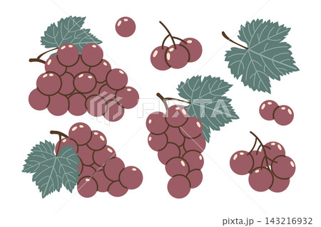 Purple Grapes and Leaves Elements Set. Simple Flat Illustration. Fruit collection design for poster, banner. 143216932