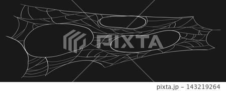 Gothic web silhouette, border for decoration, creepy spider web hanging on dark background. Spider web halloween frame. Halloween cobwebs, corner web border 143219264