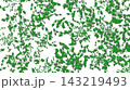 Freshness.Painted textured green leaves on white 143219493