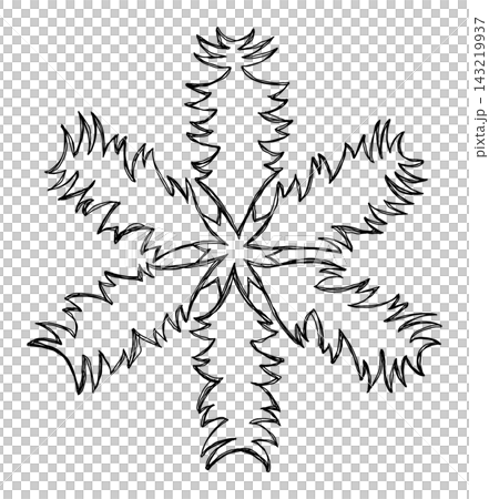 手描きの雪の結晶(羽のような枝)線画 手描きの雪の結晶(羽のような枝)線画 143219937