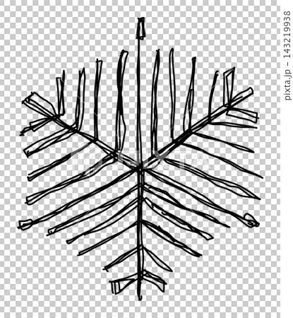 手繪雪花(梳狀枝)線條畫 手繪雪花(梳狀枝)線條畫 143219938