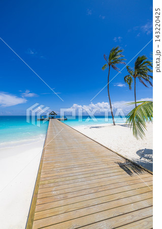 Wooden jetty tropical island palms vivid turquoise lagoon blue sky vertical bright paradise shore. Family beach holiday summer fun. Sunny carefree seaside memories Wooden jetty tropical island palms vivid turquoise lagoon blue sky vertical bright paradise shore. Family beach holiday summer fun. Sunny carefree seaside memories 143220425