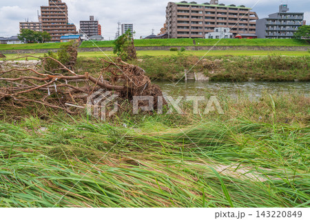 矢田川、記録的短時間大雨の爪痕〈愛知県名古屋市〉 矢田川、記録的短時間大雨の爪痕〈愛知県名古屋市〉 143220849