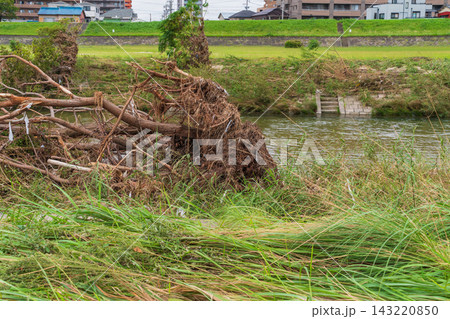 矢田川、記録的短時間大雨の爪痕〈愛知県名古屋市〉 矢田川、記録的短時間大雨の爪痕〈愛知県名古屋市〉 143220850