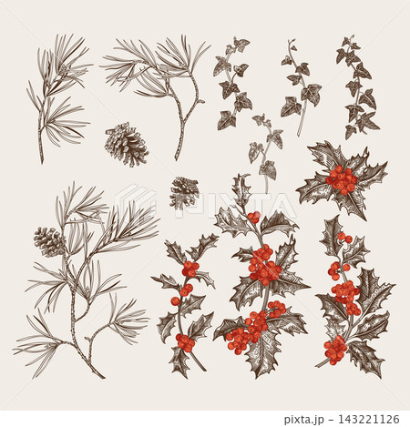 Winter plant set. Winter plant set. 143221126