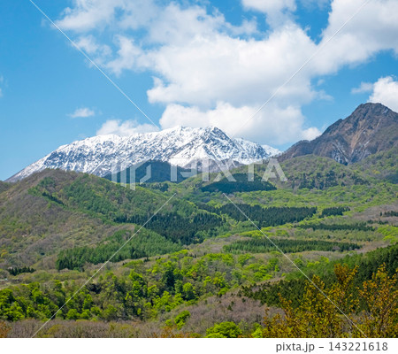 蒜山大山スカイライン　鬼女台展望台 からの雪化粧の大山と新緑 143221618