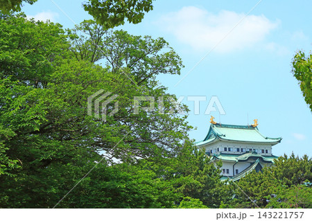 愛知県名古屋市、新緑と名古屋城の風景 愛知県名古屋市、新緑と名古屋城の風景 143221757