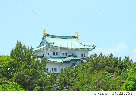 愛知県名古屋市、新緑と名古屋城の風景 愛知県名古屋市、新緑と名古屋城の風景 143221758