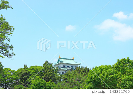 愛知県名古屋市、新緑と名古屋城の風景 143221760