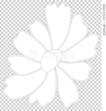 Minimalist Botanical Wildflower Line Art 143221992
