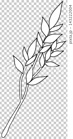 Minimalist Botanical Wildflower Line Art Minimalist Botanical Wildflower Line Art 143222004