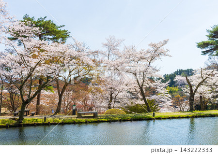 春の福島県二本松市　日本さくら名所100選　霞ヶ城公園（二本松城跡） 143222333