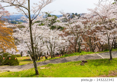 春の福島県二本松市　日本さくら名所100選　霞ヶ城公園（二本松城跡） 143222341