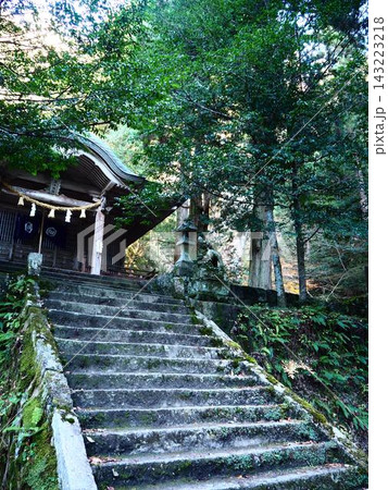 緑に覆われた山門 143223218