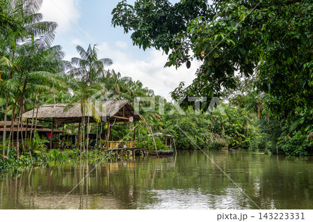 River boat tour on the Guama River River boat tour on the Guama River 143223331