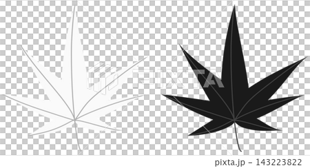 楓葉圖示插畫集 / 秋季/秋葉插畫素材 143223822
