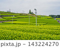 島田市の中條景昭像公園周辺の茶畑の風景(静岡県) 143224270