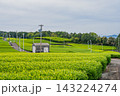島田市の中條景昭像公園周辺の茶畑の風景(静岡県) 143224274