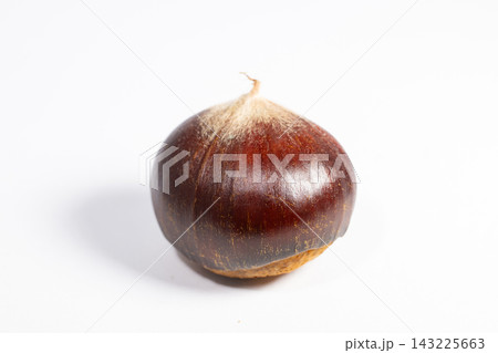 栗 143225663