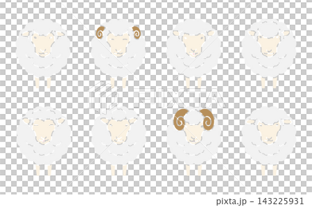 一組可愛的綿羊臉插圖 一組可愛的綿羊臉插圖 143225931