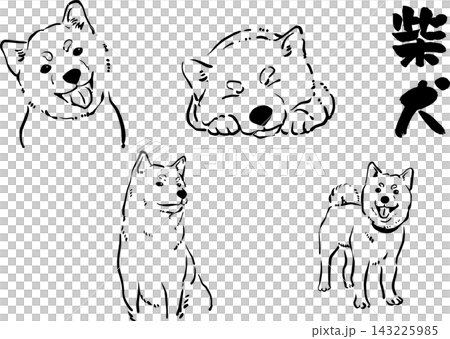Ink painting illustration of a Shiba Inu Ink painting illustration of a Shiba Inu 143225985