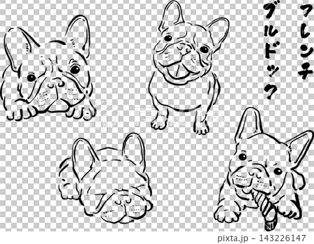 一幅法國鬥牛犬的水墨插畫 一幅法國鬥牛犬的水墨插畫 143226147