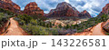 Panorama of hiking trail to Angels Landing viewpoint, Utah, USA 143226581