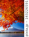 Mountain fuji with red maple in Autumn, Kawaguchiko Lake, Japan 143226591