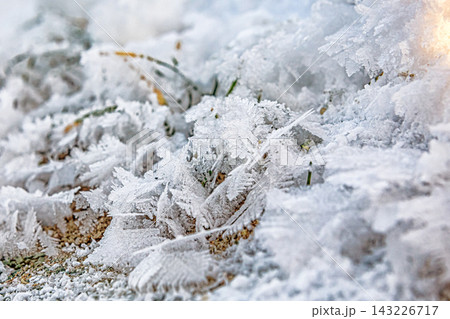 Frost covers grass and soil in a close up view during winter in an outdoor setting Frost covers grass and soil in a close up view during winter in an outdoor setting 143226717