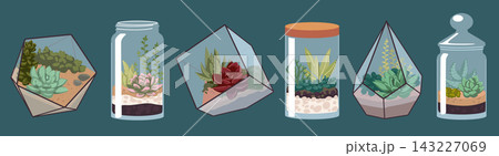 Florarium geometric. Flower composition in glass. Terrarium green plant. Style home flora. Vase in shape of figure, greenery form. Home decoration botanical home decor cultivation. Vector isolated set 143227069