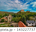 Rosa Coeli Monastery in Dolni Kounice, South Moravia, Czech Republic, aerial drone view 143227737