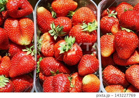 Freshly picked fresh strawberries background Freshly picked fresh strawberries background 143227769