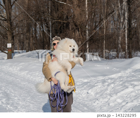 Smiling woman holding fluffy samoyed dog in snowy winter park. Smiling woman holding fluffy samoyed dog in snowy winter park. 143228295