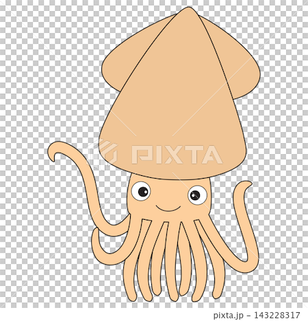 A cute squid, a multi-legged mollusk that lives in the ocean A cute squid, a multi-legged mollusk that lives in the ocean 143228317