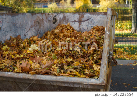 A trailer is filled with fallen autumn leaves during yard cleanup. Concept of autumn work, leaf collection, recycling, maintenance, nature and autumn A trailer is filled with fallen autumn leaves during yard cleanup. Concept of autumn work, leaf collection, recycling, maintenance, nature and autumn 143228554